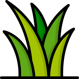 gras icon