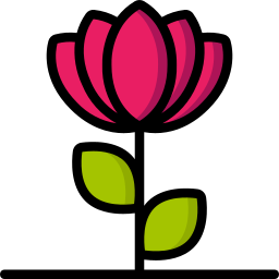 lotus blume icon