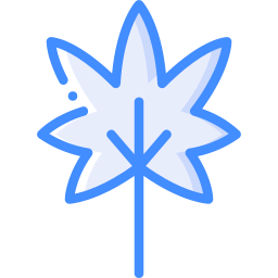 Leaf icon