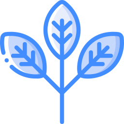 Eucalyptus icon