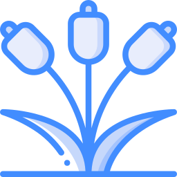 Flowers icon