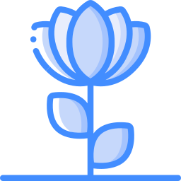 lotus blume icon