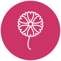 blume icon