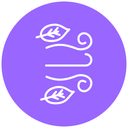 Breeze icon