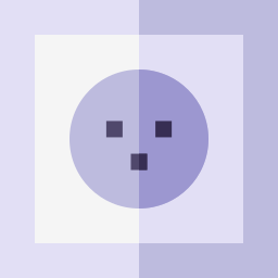 Socket icon