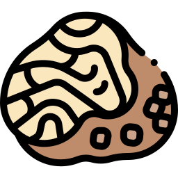 trüffel icon