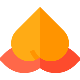 Fruit icon