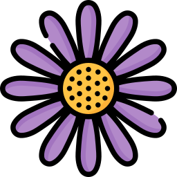 Aster icon