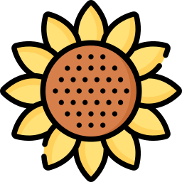 Sunflower icon