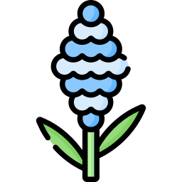 Hyacinth icon