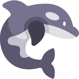 Killer whale icon