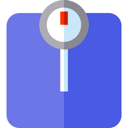 Scale icon