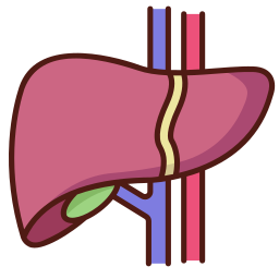 Печень иконка