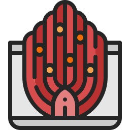 Kimchi icon