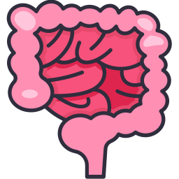 Intestine icon