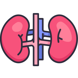 Kidneys icon