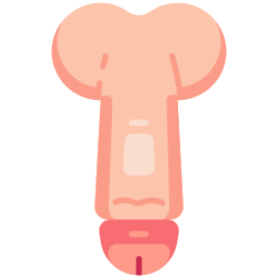 Penis icon