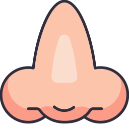 Nose icon