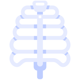 Rib cage icon