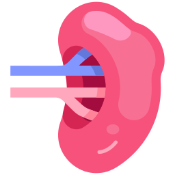 Spleen icon