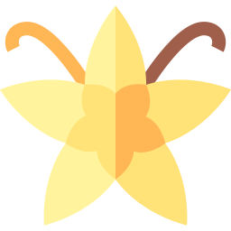 Vanilla icon