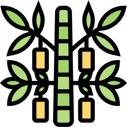 Bamboo icon