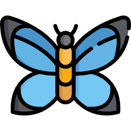 Butterfly icon