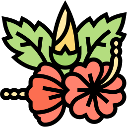 Hibiscus icon