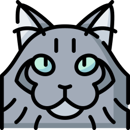 amerikanische waldkatze icon