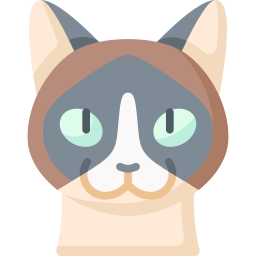 Snowshoe icon