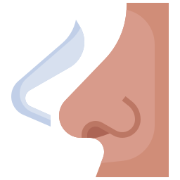 Nose icon