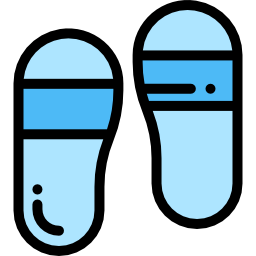 Flip flops icon