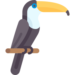 toucan Icône