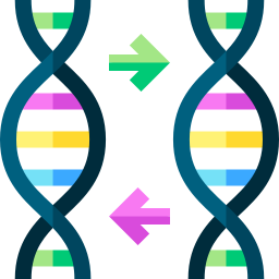 dna icona