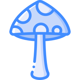 champignon Icône