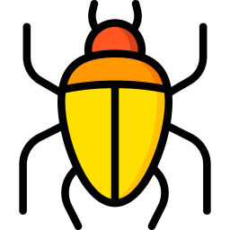 Beetle icon