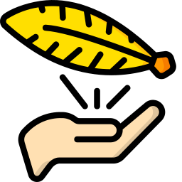 Feather icon