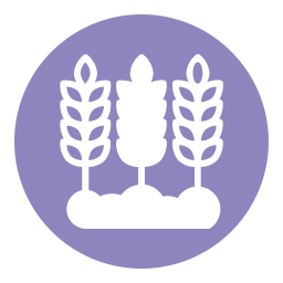 Wheat icon