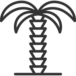 Palm tree icon