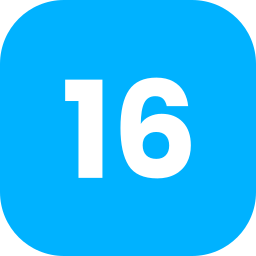 Number 16 icon