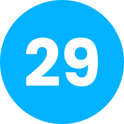 29 Ícone