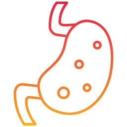 Stomach icon