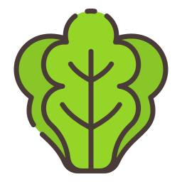 Lettuce icon