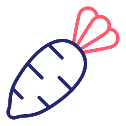 Radish icon