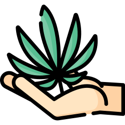 cannabis icon