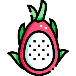 Dragon fruit icon