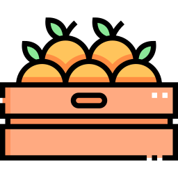 Orange icon