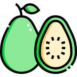 Guava icon