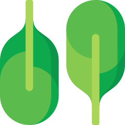 Spinach icon