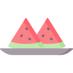 Watermelon icon